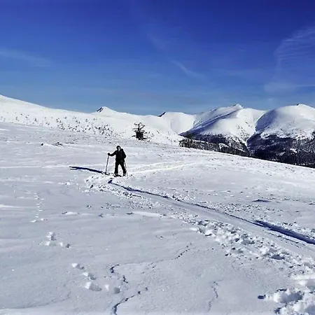 In Area Chalet Bad Kleinkirchheim